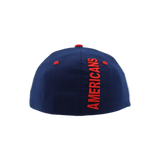 Allen Americans Zephyr Colorblock Fitted Hat